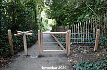 November 2020