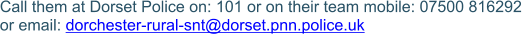 Call them at Dorset Police on: 101 or on their team mobile: 07500 816292  or email: dorchester-rural-snt@dorset.pnn.police.uk 