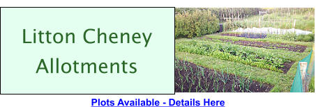 Litton Cheney Allotments Plots Available - Details Here