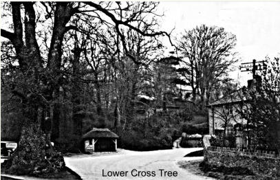 Lower Cross Tree