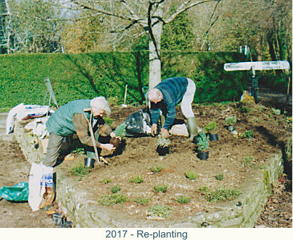 2017 - Re-planting