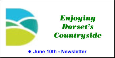 Enjoying Dorset’s Countryside •	June 10th - Newsletter Enjoying Dorset’s Countryside •	June 10th - Newsletter